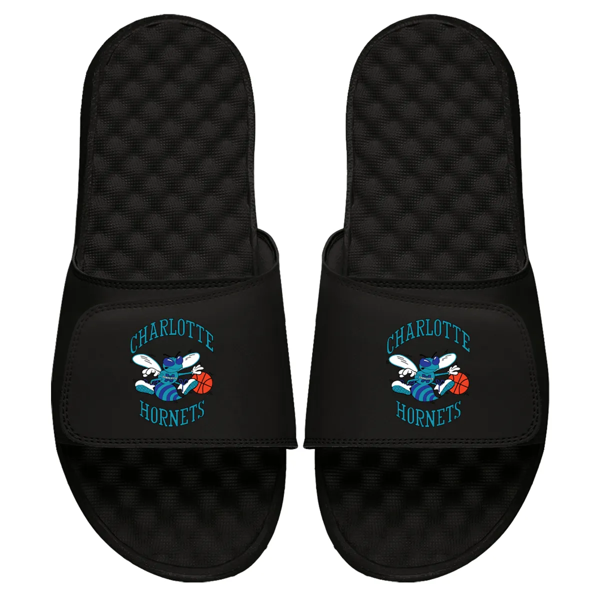 Charlotte Hornets HWC Primary Slides