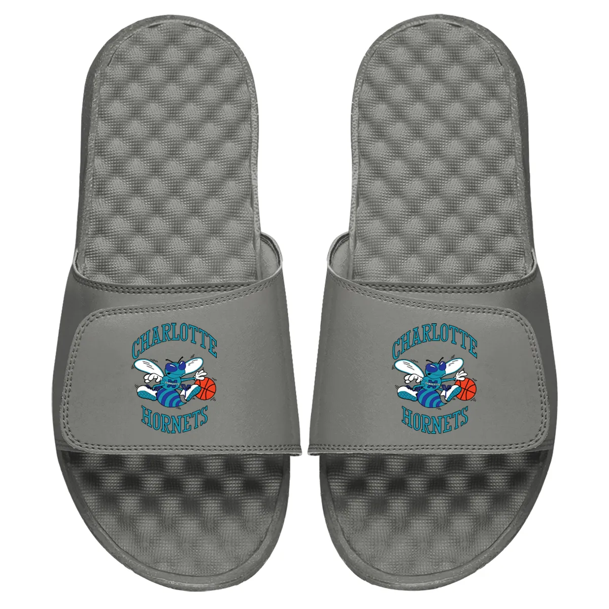 Charlotte Hornets HWC Primary Slides