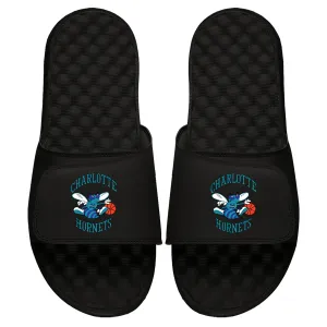 Charlotte Hornets HWC Primary Slides